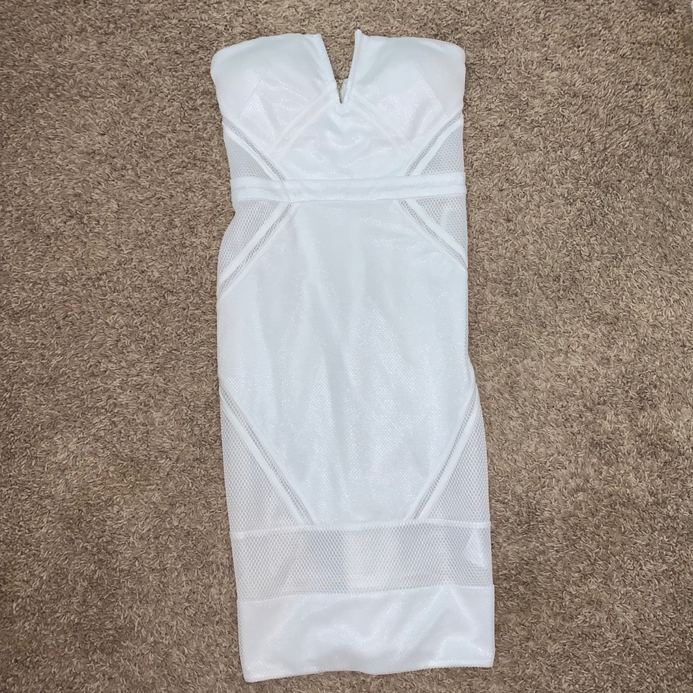 Mesh Fitted Midi Dress